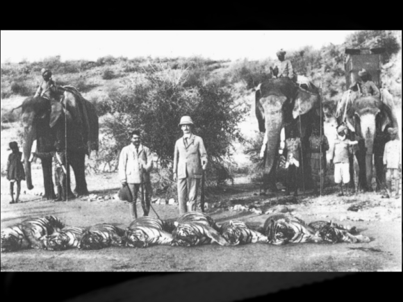 Tiger hunt in colonial India