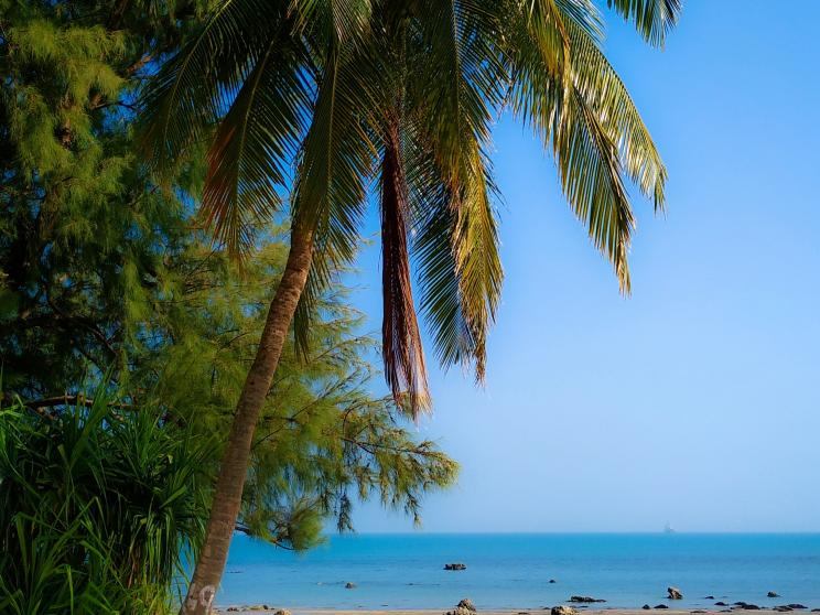 6 places in Bangladesh to visit in winter