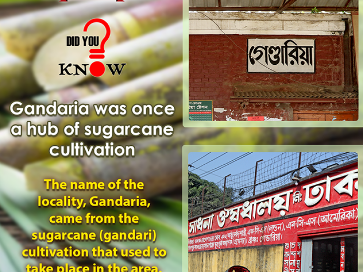 did_you_know-gandaria-thursday_i.png