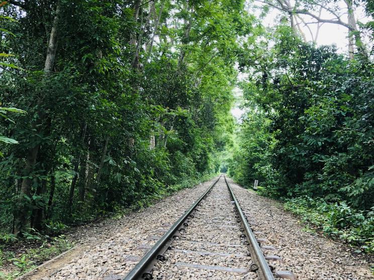 Lawachara National Park, Moulvibazar