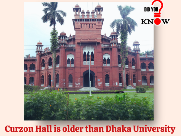 did_you_know_curzon_hall-i.png