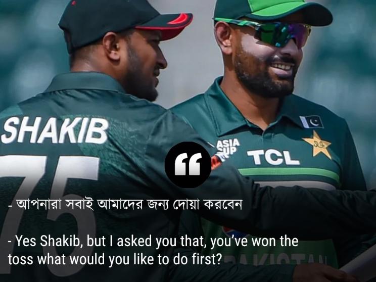 cricket-1-web.jpeg