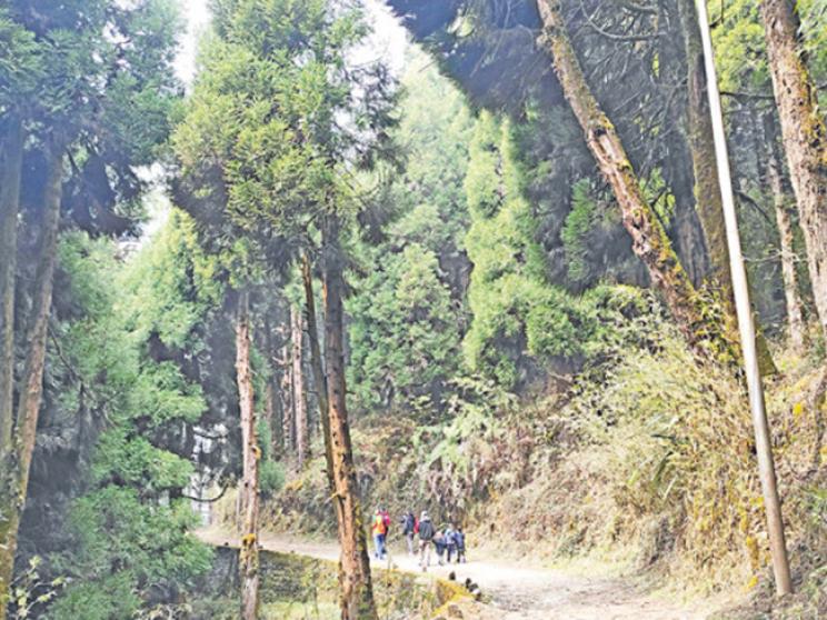sandakphu-4_0.jpg