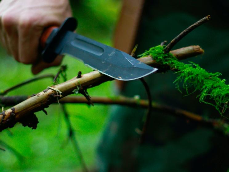 Unexpected life lessons you can learn from wilderness survival     2-bro-s-media-yt5qsarrft8-unsplash