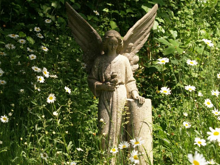 6 beautiful cemeteries to visit around the world     stuart-timms-al4vfgmnisy-unsplash