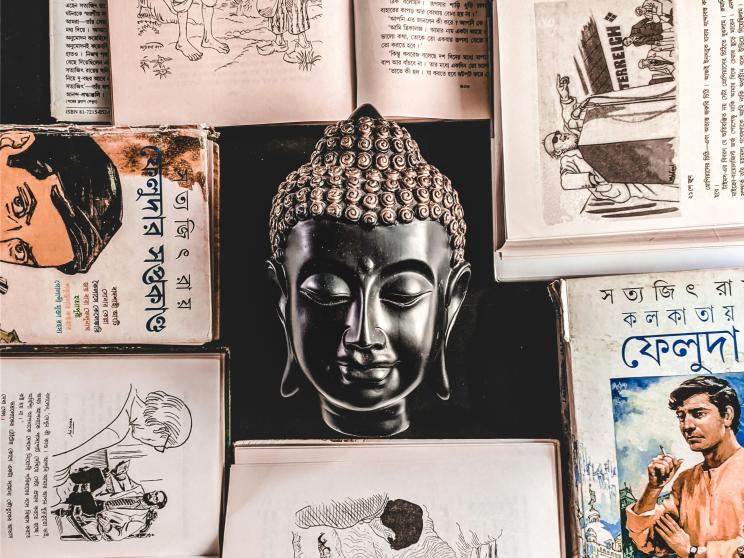 Why every child deserves a cousin like Feluda!    priyansu-das-dlS_r9sCiKI-unsplash