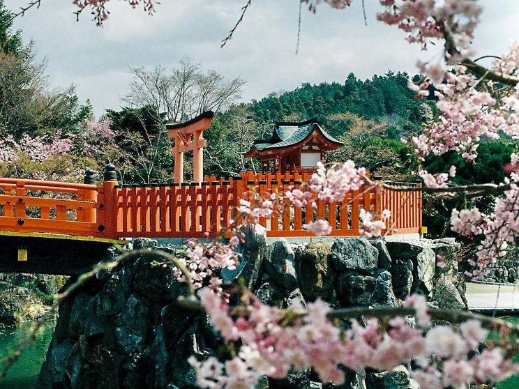 5 must-visit places in the world during spring season    yusheng-deng-t3grqgwfx84-unsplash