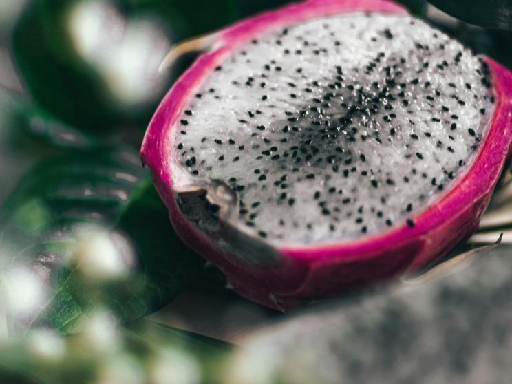 Why dragon fruit is the best thing to happen to your diet       alexa-portoraro-gjs8pjugusi-unsplash.jpg