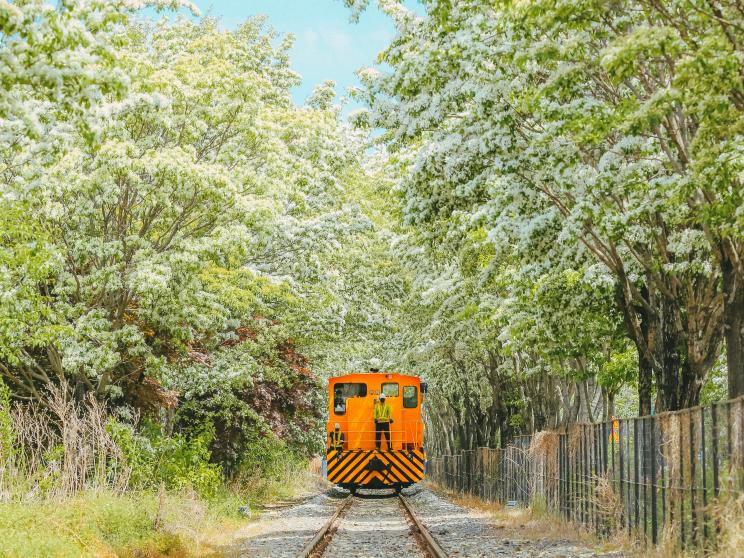 All aboard! Explore Asia’s 5 most Instagrammable train stations