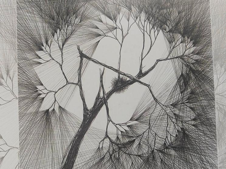 'Visually Bimurto' opens at Gallery Chitrak
