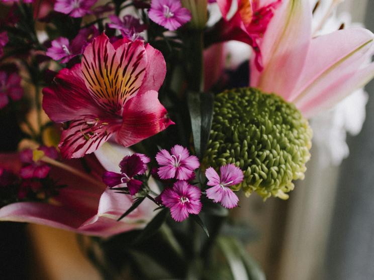 How to stop your flowers from dying as fast as your New Year’s Resolutions