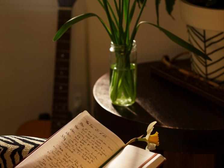 side-view-woman-with-journal-home.jpg