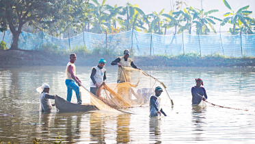 Fisheries.jpg