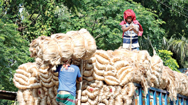 Raw-jute.jpg