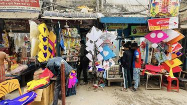 kites 1.jpg