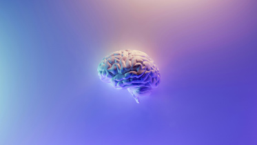 Foods that support brain health and sharpen memory