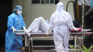 nipah virus.JPG