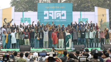 npa-new-party.jpg