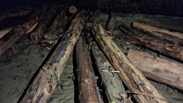 CU logs.png