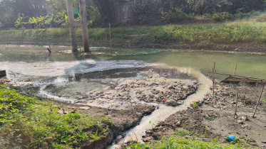 Faridpur-Sugar-Mill.jpg
