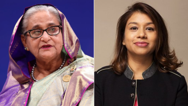 Hasina Tulip.png