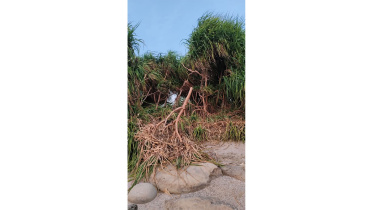 Natural-Keya.jpg