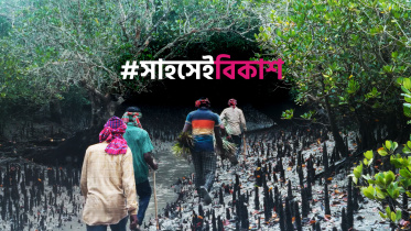 PR_Photo_Sundarbans.jpg