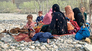 afghan.jpg