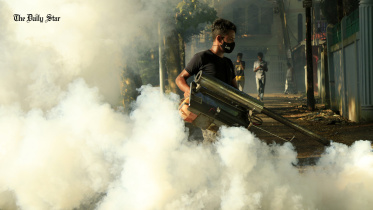 dengue.jpg