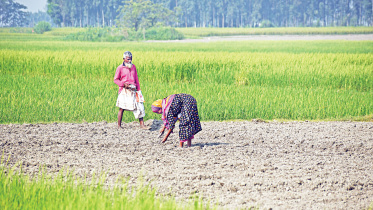 empowering-farmers.jpg