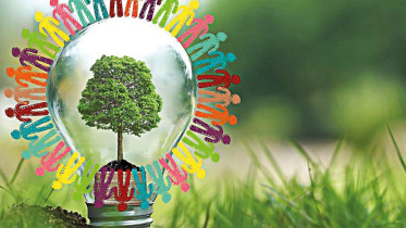 law2.jpg