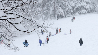 snow storm.jpg