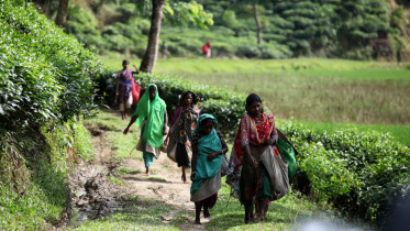 tea workers.jpg