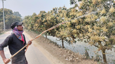 Photo: S Dilip Roy