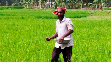 Rangpur_BoroRice_.jpeg