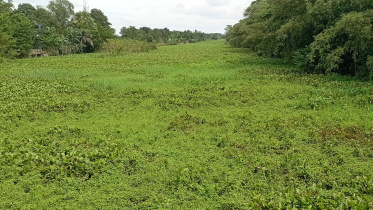 Rangsa-river.jpg