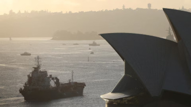 SydneY_OIL (1).jpg