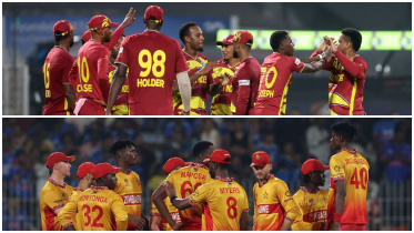 WI-Zim.jpg