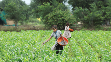 Asia_fertiliser.jpg
