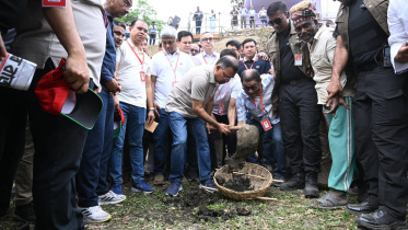 BNP_ULASHI.jpg