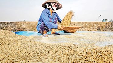 Global-rice.jpg