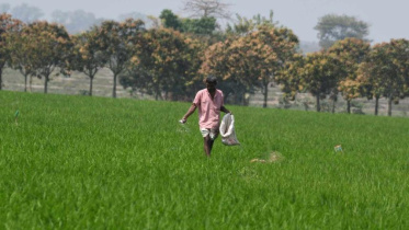 Mostafa Sabuj.jpg