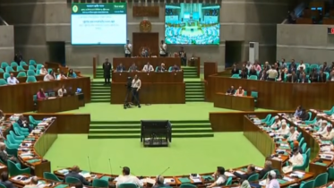 Parliament_April29_2026.PNG