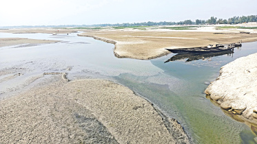 dying teesta.jpg