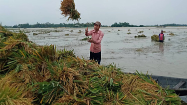 OE - Sylhet Derai Haor Flooded - PHOTO STAR.jpg