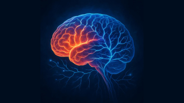 Alzheimers-detection.jpg