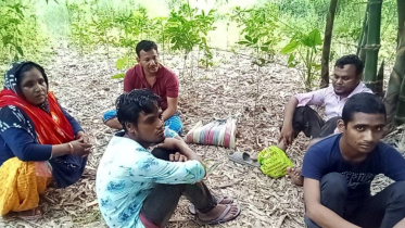 BENAPOLE PHOTO--BGB Foils BSF Attempt to Push Seven People into Bangladesh via Meherpur Border---25.06.26.jpg