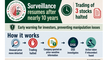 DSE Real-Time Surveillance System