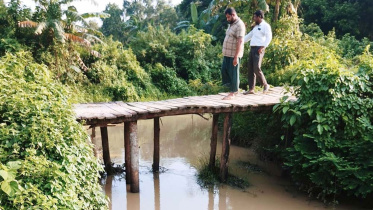 Fragile-bridge.jpg