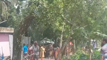 Habiganj-Sadar-upazila.jpg
